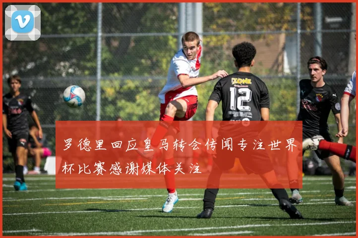 罗德里回应皇马转会传闻专注世界杯比赛感谢媒体关注