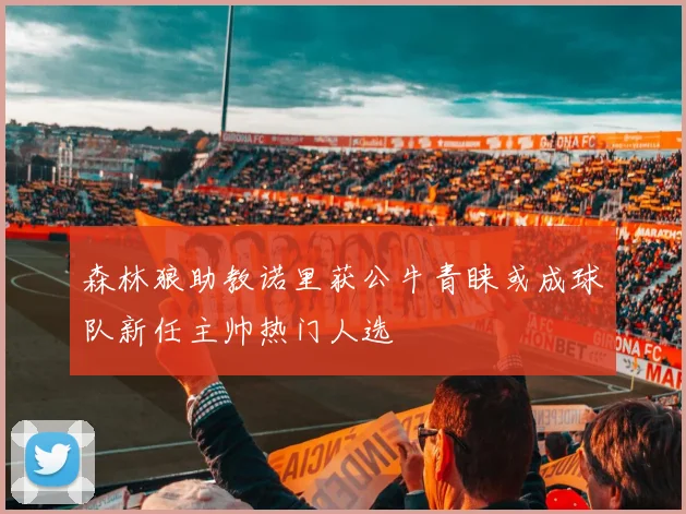森林狼助教诺里获公牛青睐或成球队新任主帅热门人选